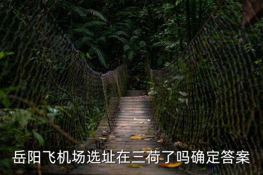 岳陽飛機(jī)場選址在三荷了嗎確定答案
