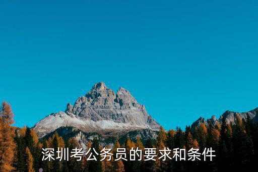 深圳考公務(wù)員的要求和條件