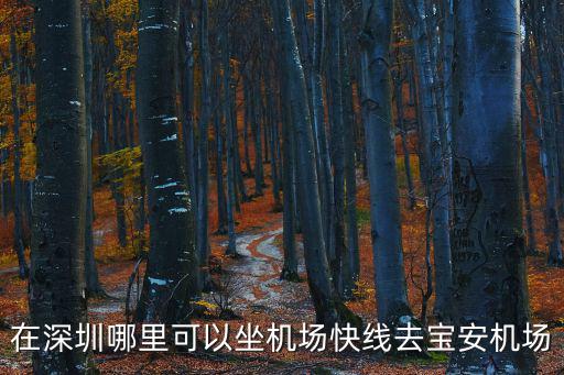 在深圳哪里可以坐機(jī)場(chǎng)快線去寶安機(jī)場(chǎng)