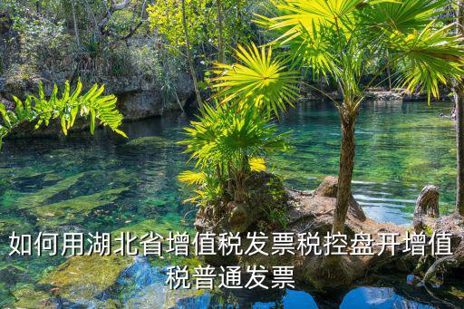 如何用湖北省增值稅發(fā)票稅控盤開增值稅普通發(fā)票