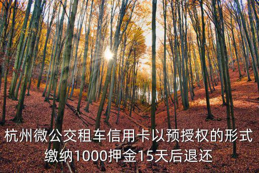 杭州微公交租車信用卡以預授權的形式繳納1000押金15天后退還