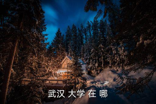 武漢 大學(xué) 在 哪