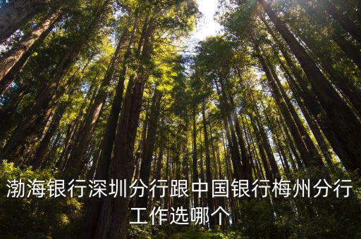 渤海銀行深圳分行跟中國銀行梅州分行工作選哪個