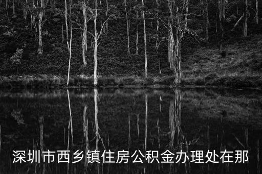 深圳住房公積金管理中心，深圳市西鄉鎮住房公積金辦理處在那