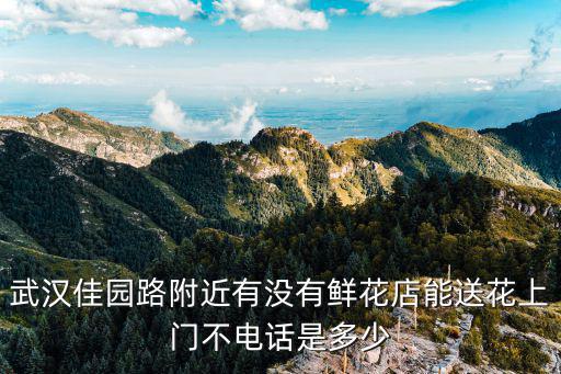 武漢佳園路附近有沒有鮮花店能送花上門不電話是多少