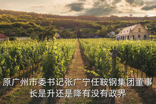 原廣州市委書記張廣寧任鞍鋼集團董事長是升還是降有沒有政界