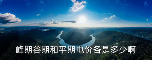 峰期谷期和平期電價各是多少啊
