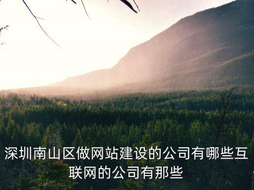 深圳南山區做網站建設的公司有哪些互聯網的公司有那些