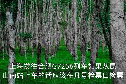 上海發(fā)往合肥G7256列車如果從昆山南站上車的話應(yīng)該在幾號(hào)檢票口檢票
