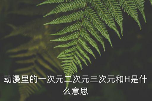 動漫里的一次元二次元三次元和H是什么意思