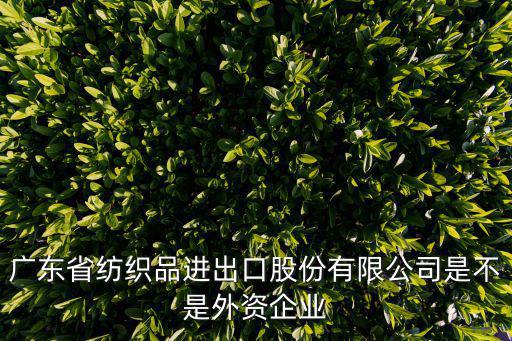 廣東省紡織品進(jìn)出口股份有限公司是不是外資企業(yè)