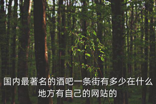 國內最著名的酒吧一條街有多少在什么地方有自己的網站的