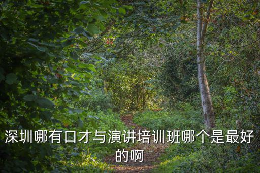 深圳哪有口才與演講培訓班哪個是最好的啊