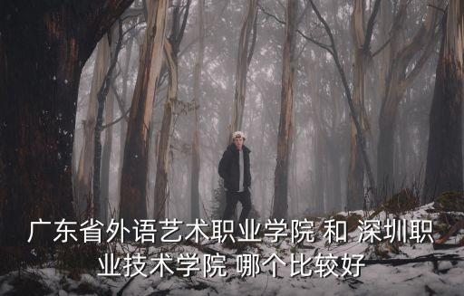 廣東省外語藝術職業學院 和 深圳職業技術學院 哪個比較好