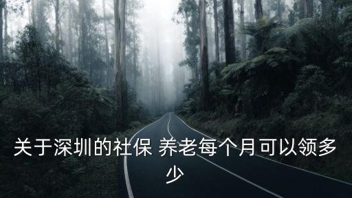 深圳市社保，深圳辦社保要多久時間