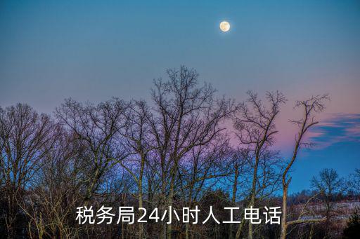 稅務(wù)局24小時人工電話