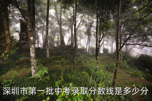 深圳市第一批中考錄取分數線是多少分