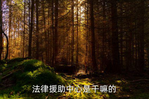 法律援助中心是干嘛的