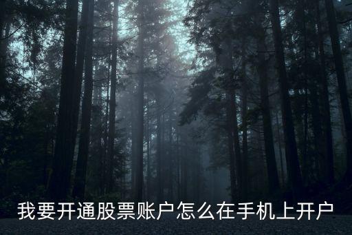我要開通股票賬戶怎么在手機上開戶