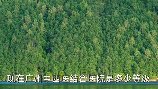 現在廣州中西醫結合醫院是多少等級