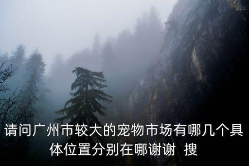 請問廣州市較大的寵物市場有哪幾個具體位置分別在哪謝謝  搜