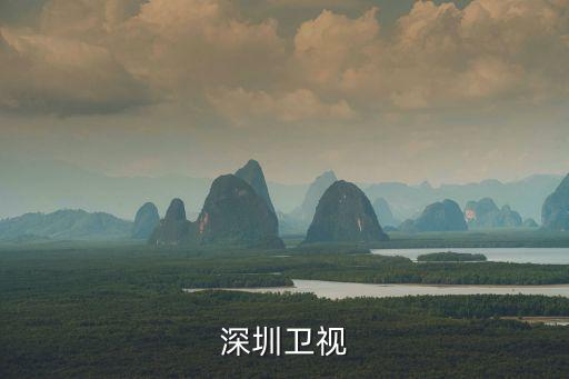 深圳衛(wèi)視