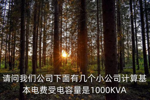 請問我們公司下面有幾個小公司計算基本電費受電容量是1000KVA