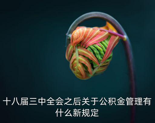 公積金新政策，十八屆三中全會之后關于公積金管理有什么新規定