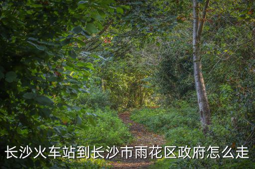 雨花區政府，長沙市的雨花區人民政府在哪坐什么公交車