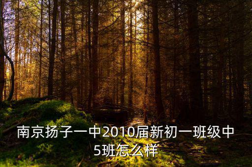 南京市揚(yáng)子第一中學(xué)，南京揚(yáng)子一中2010屆新初一班級(jí)中5班怎么樣