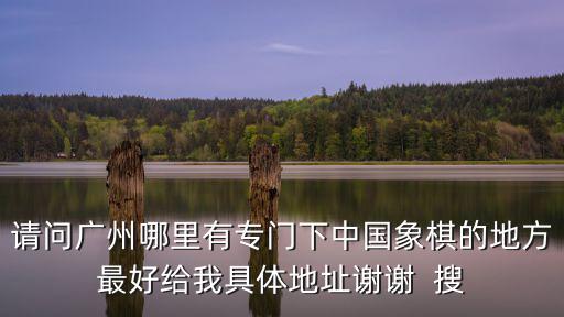 請問廣州哪里有專門下中國象棋的地方最好給我具體地址謝謝  搜