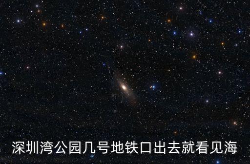 深圳灣公園幾號地鐵口出去就看見海