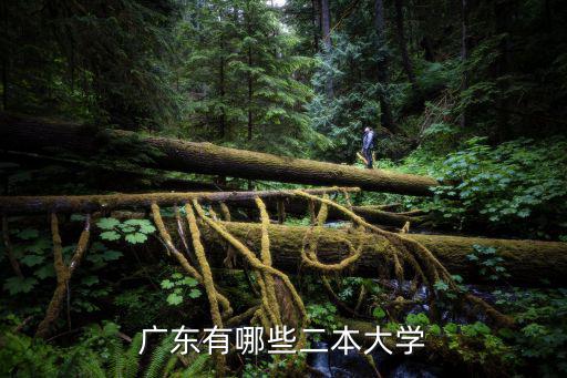廣東有哪些二本大學