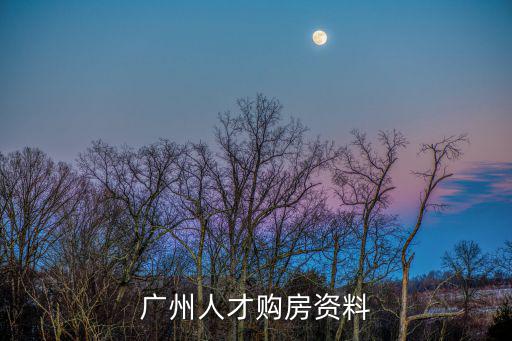 廣州人才購房資料