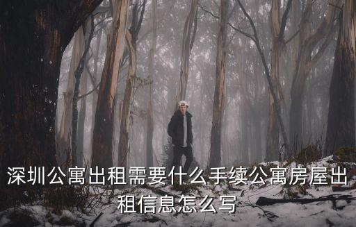 深圳公寓出租需要什么手續公寓房屋出租信息怎么寫