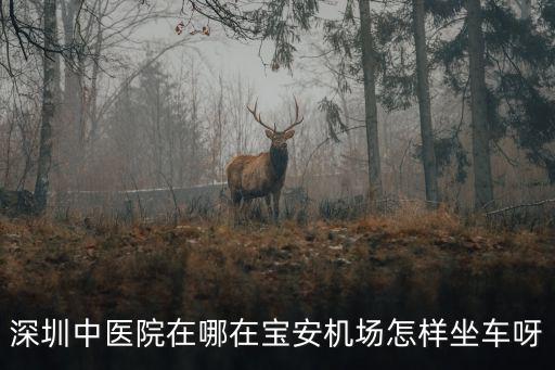 深圳市中醫院地址，深圳中醫院在那