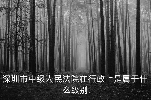 深圳市中級人民法院在行政上是屬于什么級別