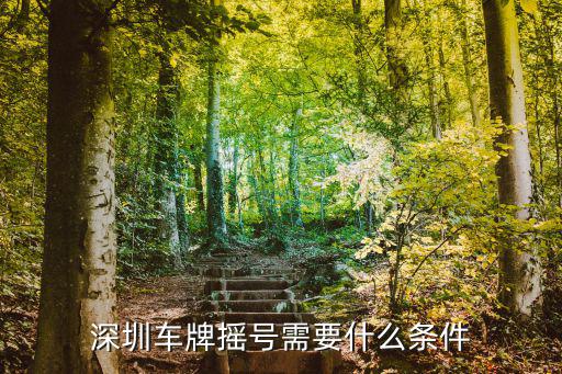 深圳車牌搖號需要什么條件