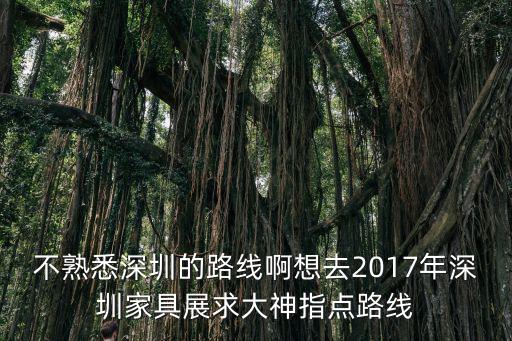 深圳家具展，不熟悉深圳的路線啊想去2017年深圳家具展求大神指點(diǎn)路線