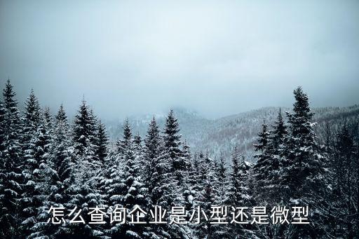中小微企業查詢，如何查詢中小型企業的信用情況