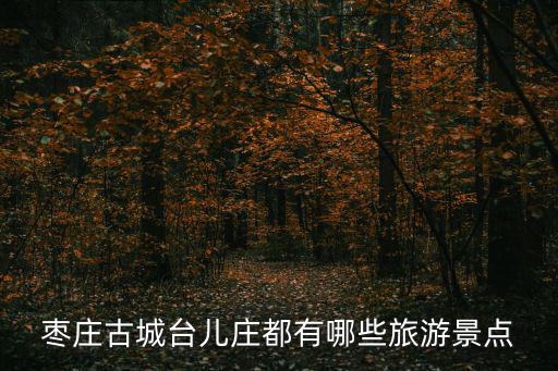 臺兒莊旅游，臺兒莊旅游必須要了解的大概需要多少錢