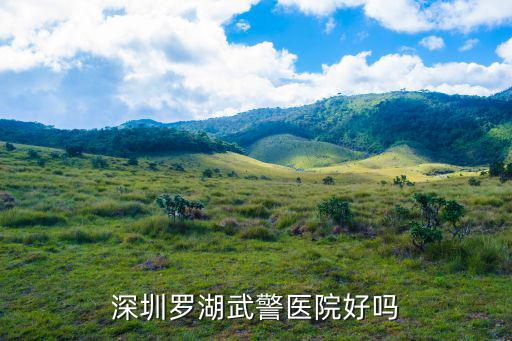 深圳羅湖武警醫(yī)院好嗎
