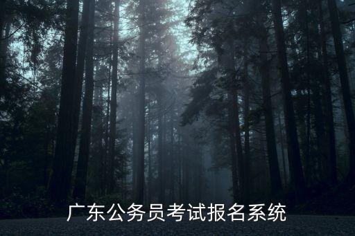 廣東公務(wù)員考試報名系統(tǒng)