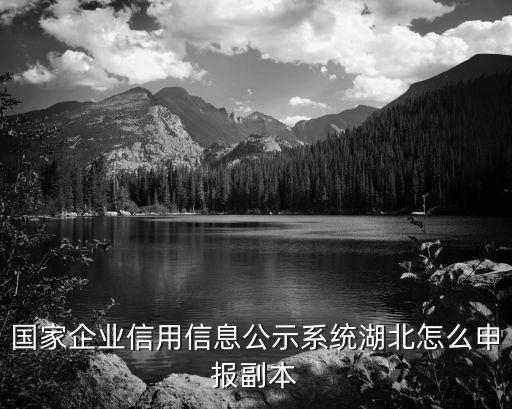 國家企業信用信息公示系統湖北怎么申報副本