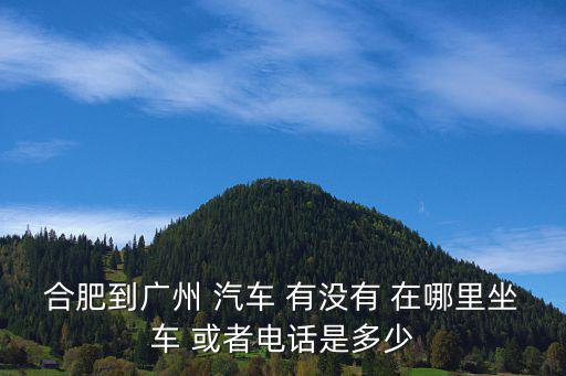 合肥到廣州 汽車 有沒有 在哪里坐車 或者電話是多少
