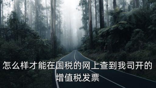怎么樣才能在國稅的網上查到我司開的增值稅發票