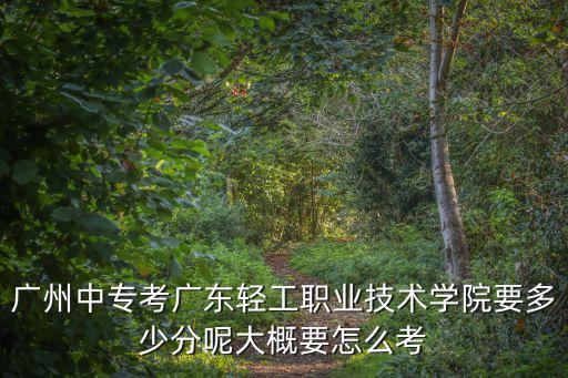 廣州中專(zhuān)考廣東輕工職業(yè)技術(shù)學(xué)院要多少分呢大概要怎么考