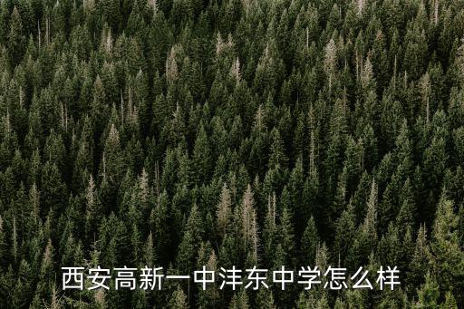 高新一中灃東中學(xué)，西安高新一中灃東中學(xué)學(xué)費多少