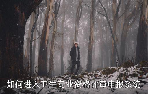 如何進入衛生專業資格評審申報系統