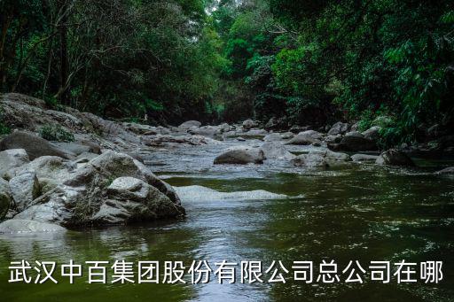 武漢中百集團股份有限公司總公司在哪